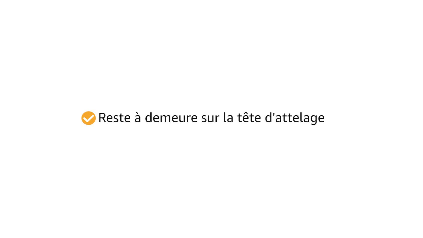 Antivol pour Tête d'Attelage