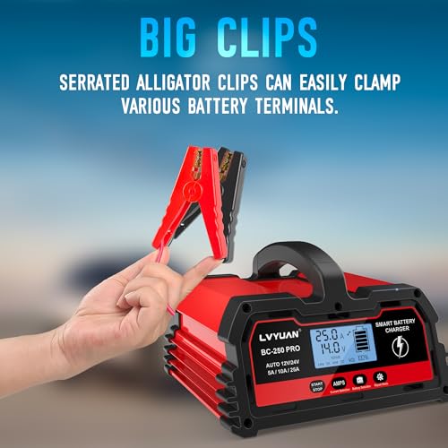 Chargeur de Batterie de Voiture Intelligent 25A 12V/24V 12A,