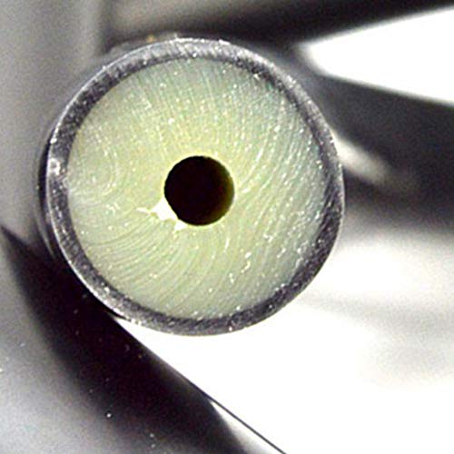 Bandes de Fusil de Chasse sous-Marine