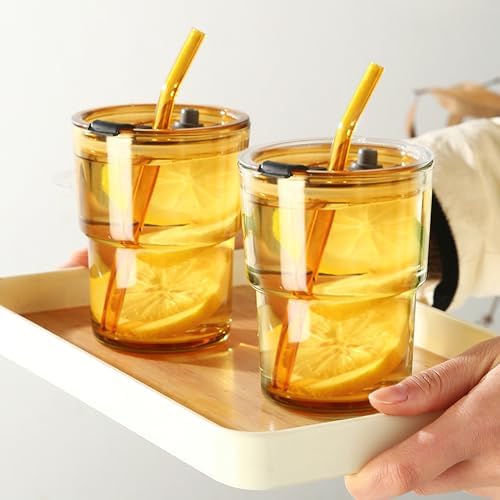 Lot de 2 Verres à Eau avec Couvercle et Paille