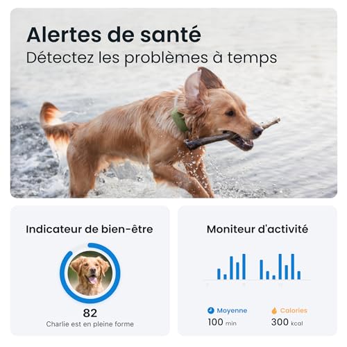 Tractive Collier GPS pour Chien XL