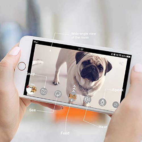Caméra Audio Bidirectionnel Vision Nocturne pour Chien Surveillance à Distance WiFi
