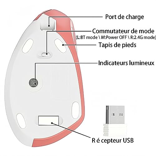 WREWING Souris verticale ergonomique sans fil 2,4 GHz avec 4 DPI réglables 800/1200/1600/2400, 6 boutons, compatible avec PC, bureau et Mac - Rose