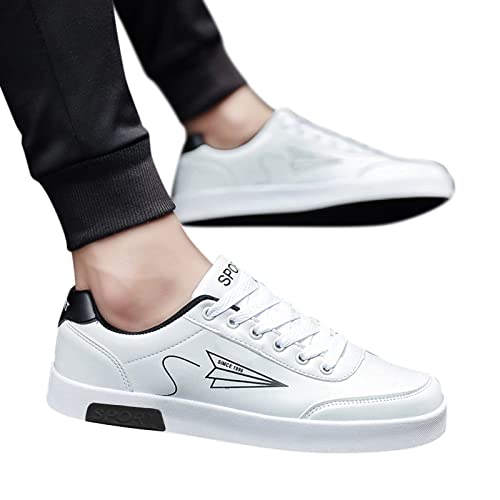 Baskets Basses Homme & Femme
