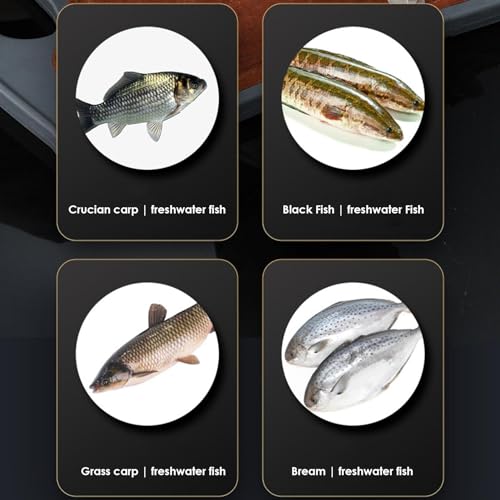 Écailleur de Poisson Électrique - Détartreur de Poisson