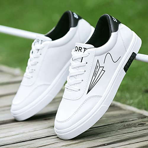 Baskets Basses Homme & Femme