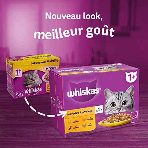 WHISKAS Repas - 48 Sachets Fraîcheur en Gelée