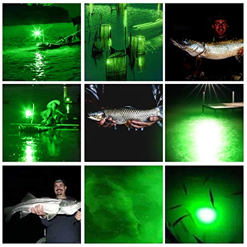 Lumière de peche sous marine 12-24v