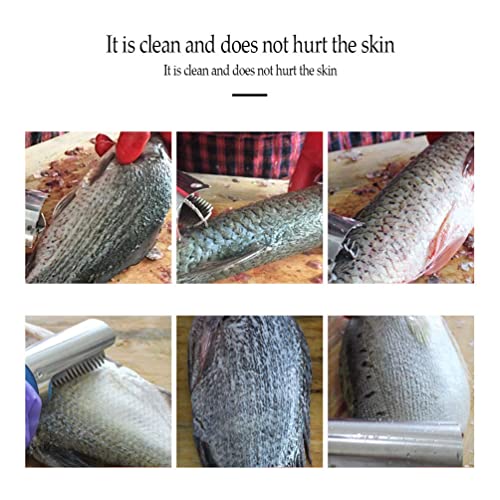 Écailleur de Poisson Électrique BJYX
