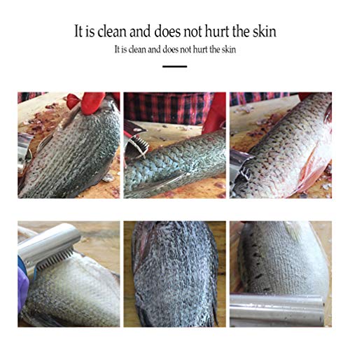 Ecailleur Électriques à Poisson avec 5 Types de Lames