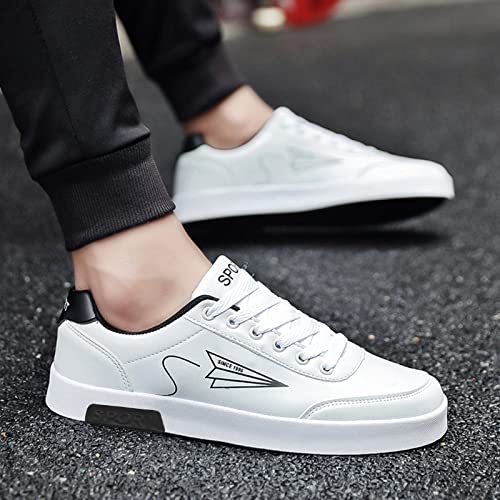 Baskets Basses Homme & Femme