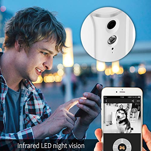 Caméra Audio Bidirectionnel Vision Nocturne pour Chien Surveillance à Distance WiFi