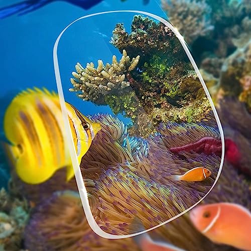 Masque de Pêche de Plongée sous-Marine Anti-Buée
