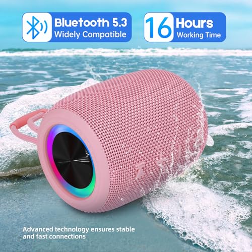 Enceinte Bluetooth Portable