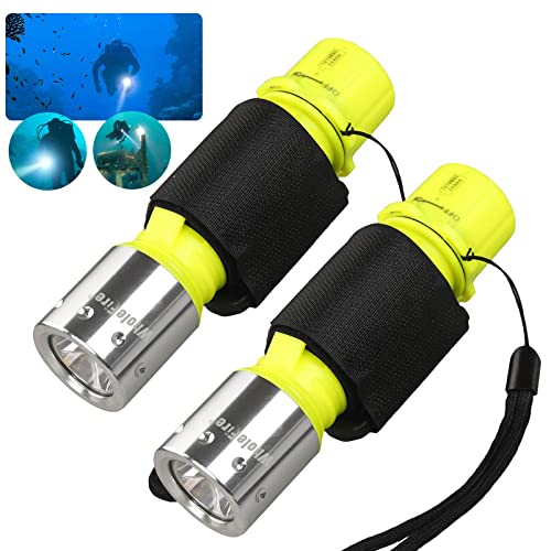 Lot de 2 lampes de poche de plongée