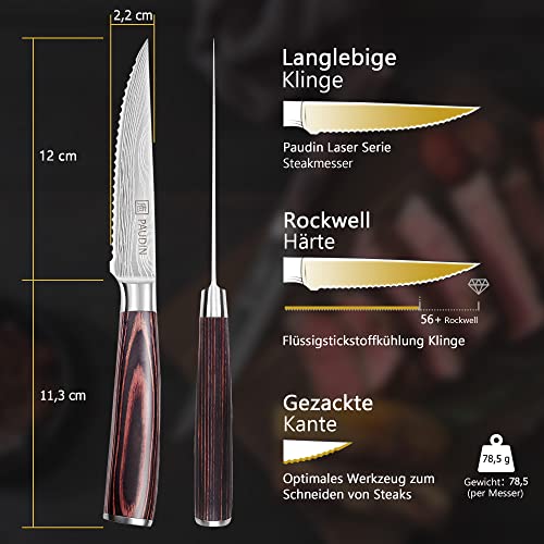 Ensemble de 6 Couteaux de Table