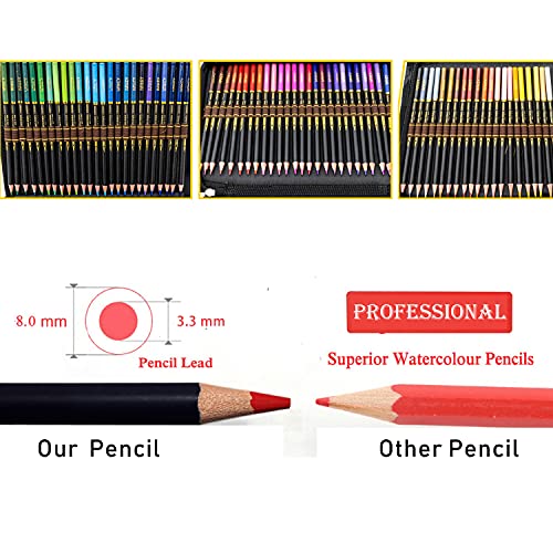 Crayon de Couleurs Professionnel