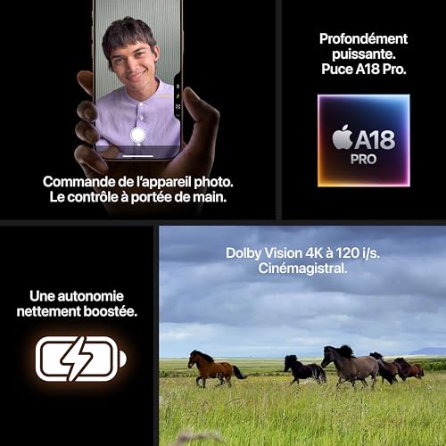 Apple iPhone 16 Pro (1 to) - Titane Sable