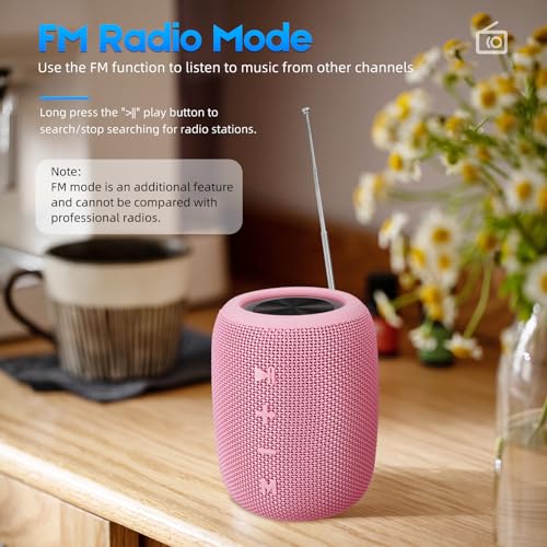 Enceinte Bluetooth Portable