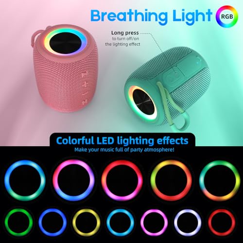 Enceinte Bluetooth Portable