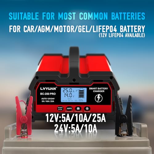 Chargeur de Batterie de Voiture Intelligent 25A 12V/24V 12A,