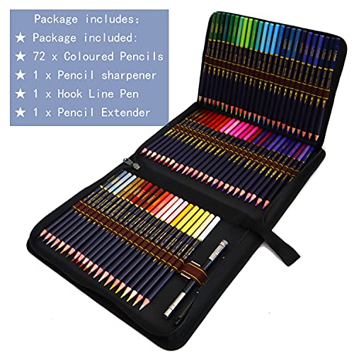 Crayon de Couleurs Professionnel
