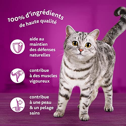 WHISKAS Repas - 48 Sachets Fraîcheur en Gelée