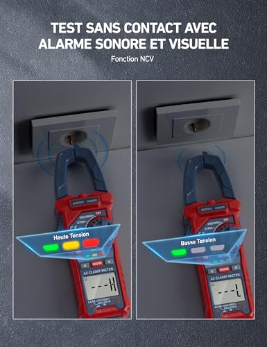 Pince Ampèremétrique Numérique TRMS