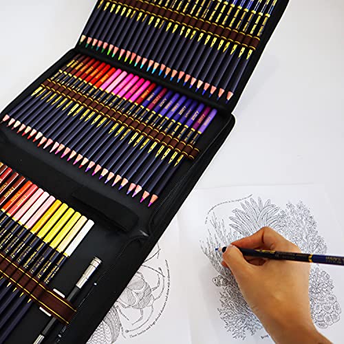 Crayon de Couleurs Professionnel