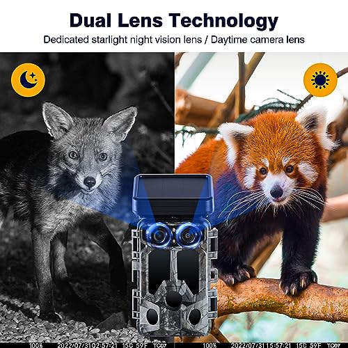 Caméra de Chasse Solaire 4K 30FPS, 60MP avec WiFi