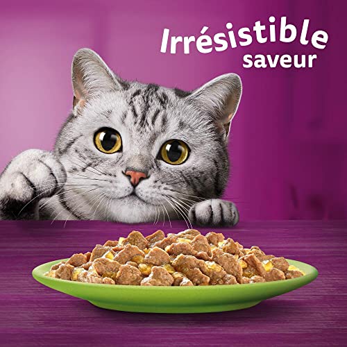 WHISKAS Repas - 48 Sachets Fraîcheur en Gelée