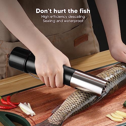 Écailleur de Poisson Électrique