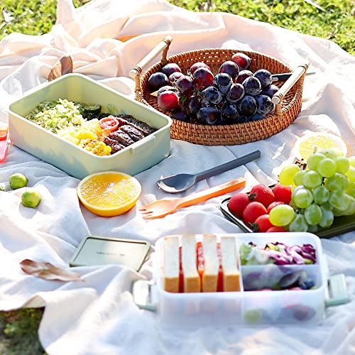 Boîte à Repas Linoroso Bento Lunch Box