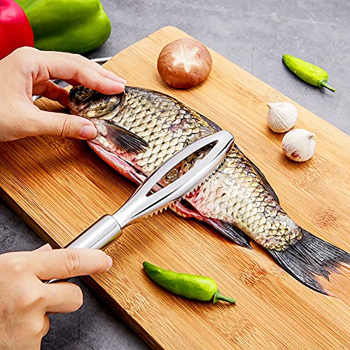 Écaille de Poisson en Acier Inoxydable - 2 Pièces