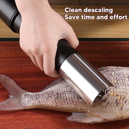 Écailleur de Poisson Électrique