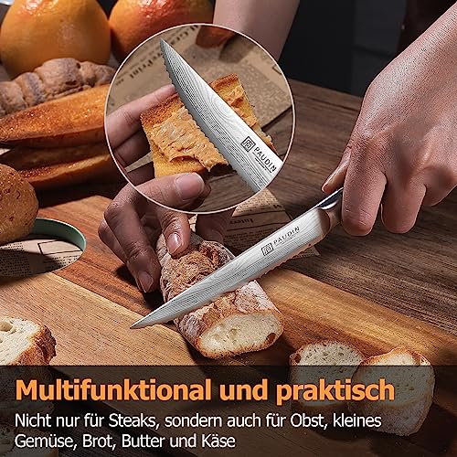 Ensemble de 6 Couteaux de Table