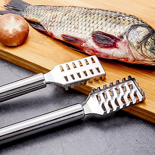 Écaille de Poisson en Acier Inoxydable - 2 Pièces