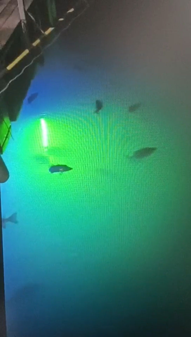 Lumière de peche sous marine 12-24v