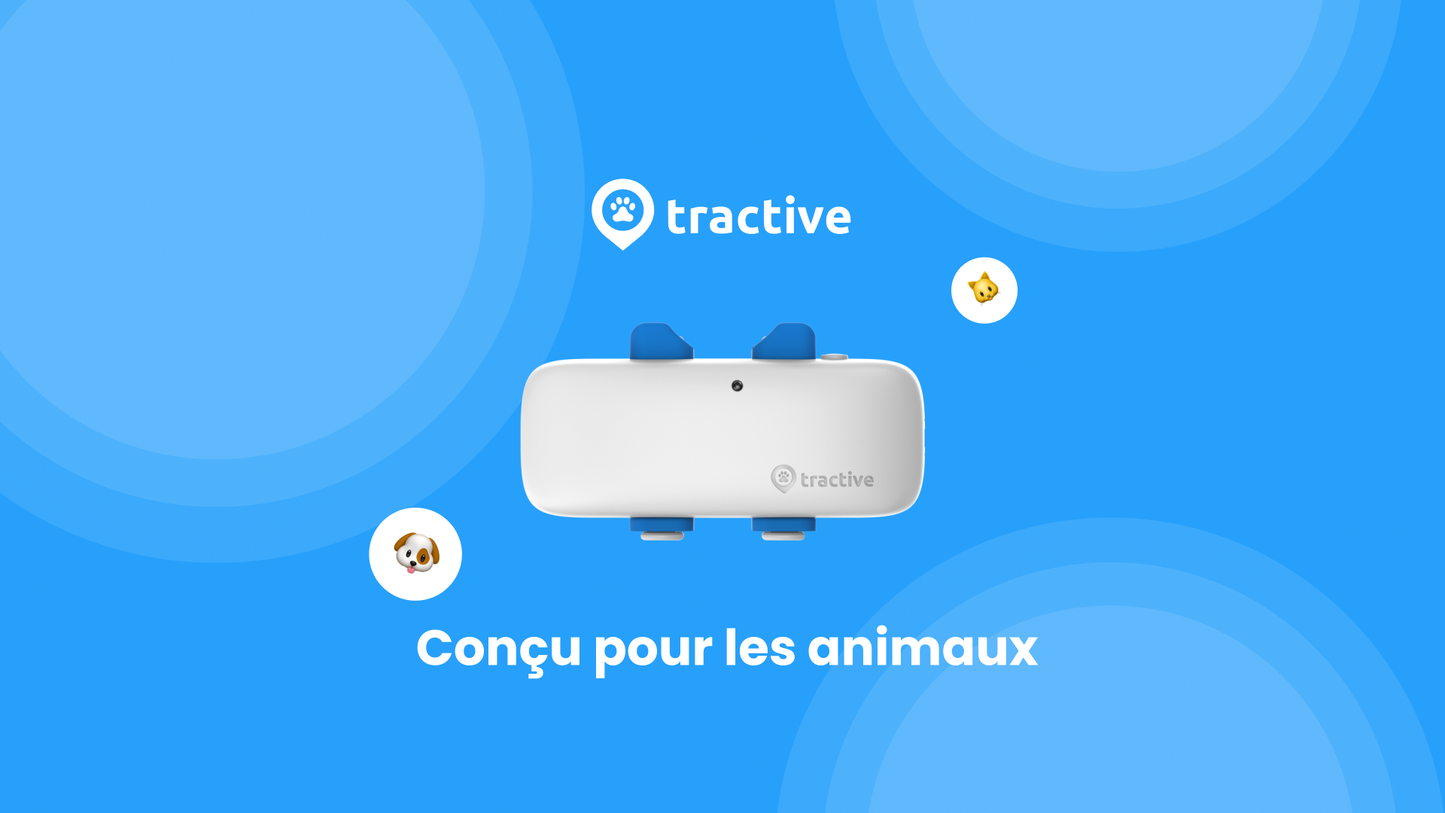 Tractive Collier GPS pour Chien XL