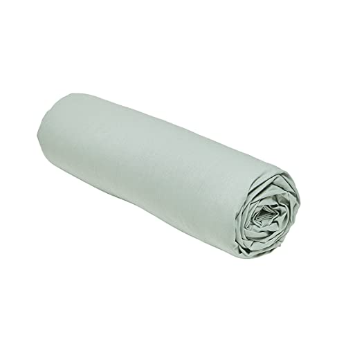 TODAY Essential - Drap Housse 160X200 cm 2 Personnes 100% Coton Uni, Celadon