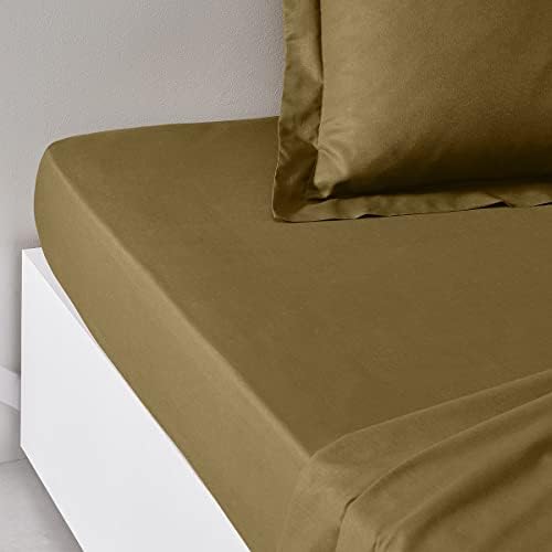 TODAY Essential - Drap Housse 160X200 cm 2 Personnes 100% Coton Uni, Celadon