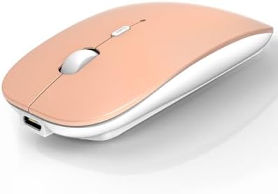 Souris Bluetooth sans fil pour ordinateur portable/Macbook/iPad/iPhone (iOS13.1.2 et versions ultérieures), rechargeable et silencieuse, mini souris