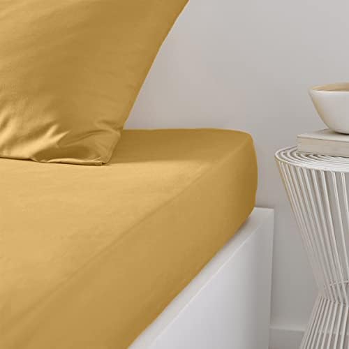 TODAY Essential - Drap Housse 160X200 cm 2 Personnes 100% Coton Uni, Celadon