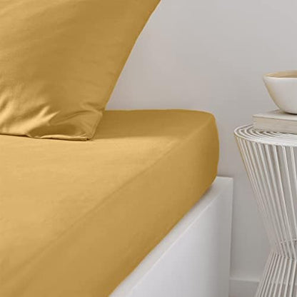 TODAY Essential - Drap Housse 160X200 cm 2 Personnes 100% Coton Uni, Celadon