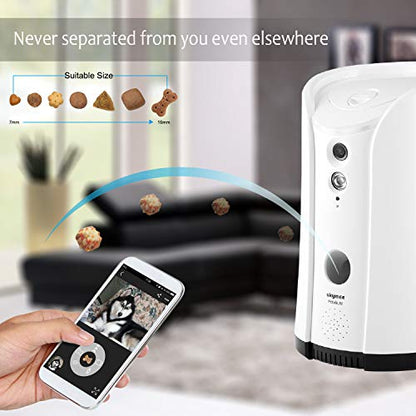 Caméra Audio Bidirectionnel Vision Nocturne pour Chien Surveillance à Distance WiFi