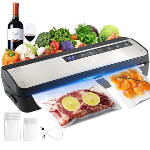 Machine Sous Vide Alimentaire