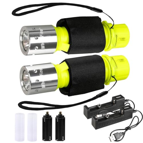 Lot de 2 lampes de poche de plongée