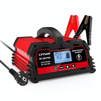 Chargeur de Batterie de Voiture Intelligent 25A 12V/24V 12A,