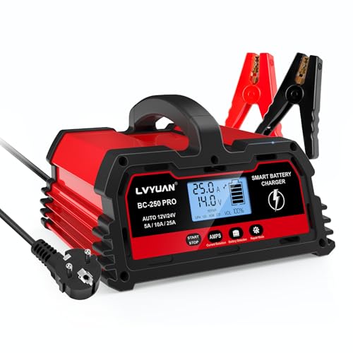 Chargeur de Batterie de Voiture Intelligent 25A 12V/24V 12A,