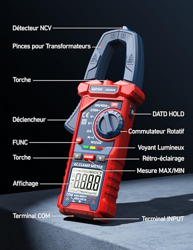 Pince Ampèremétrique Numérique TRMS